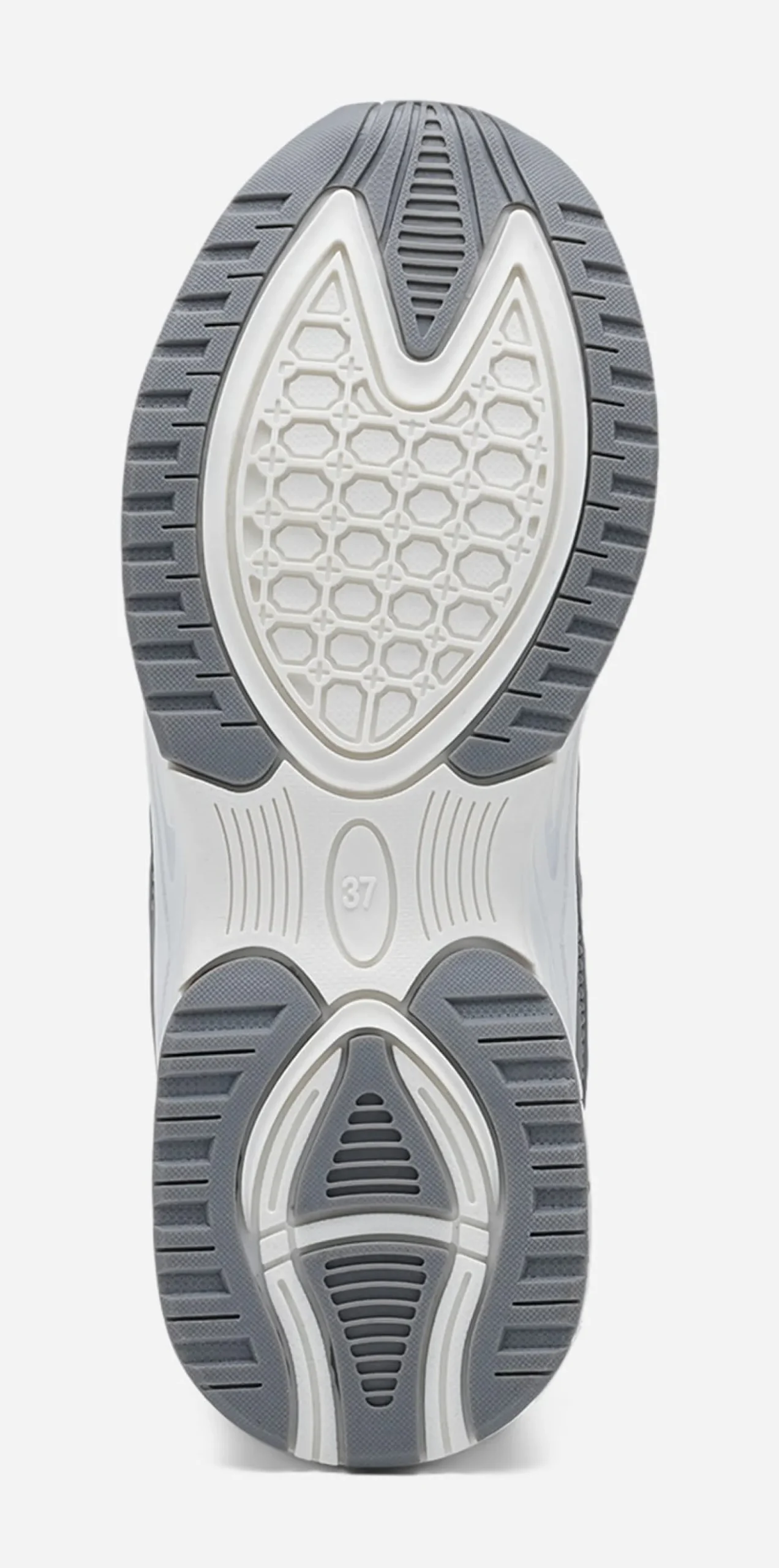 LEJON, Sneakers