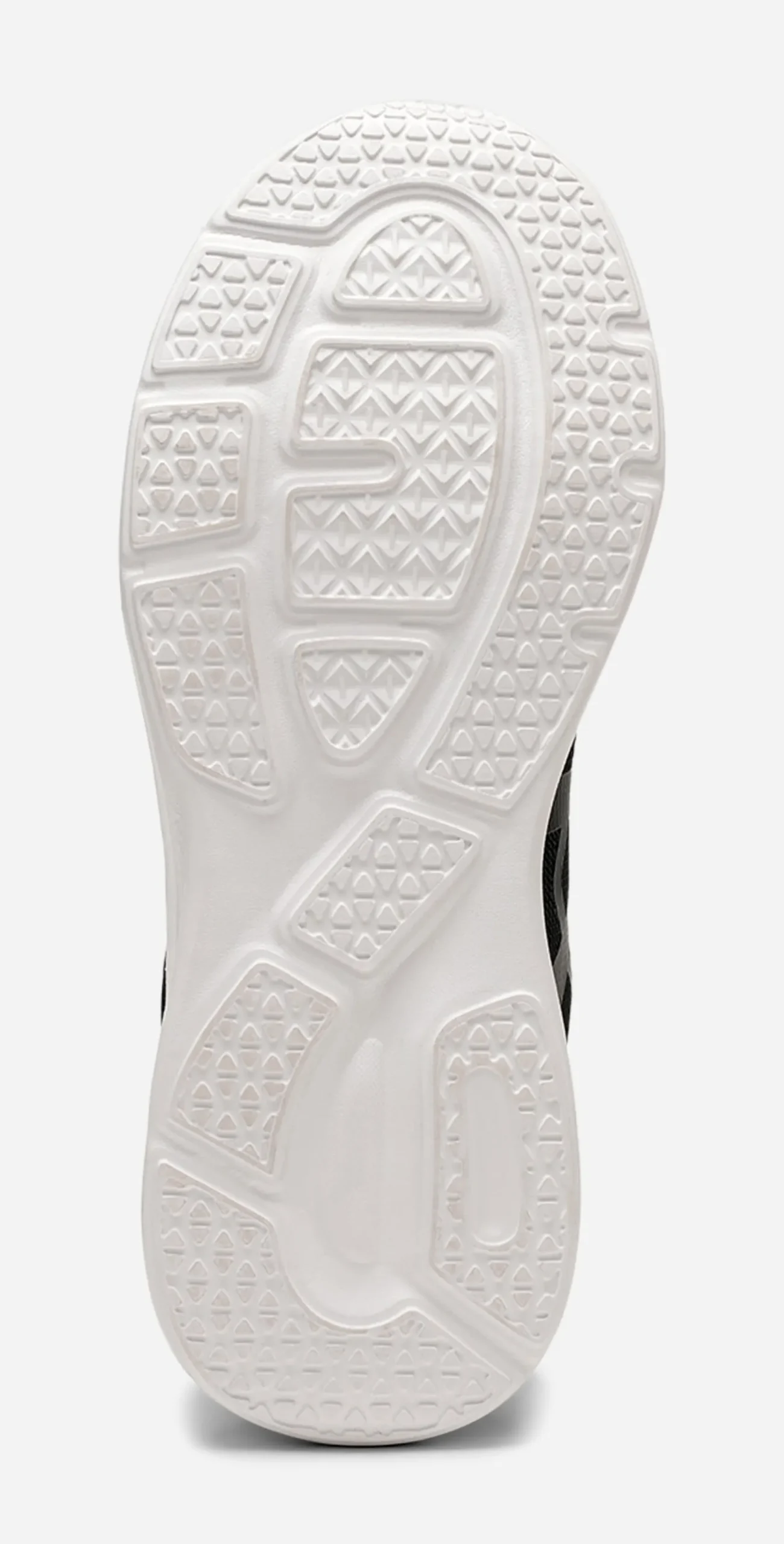 LEJON, Sneakers