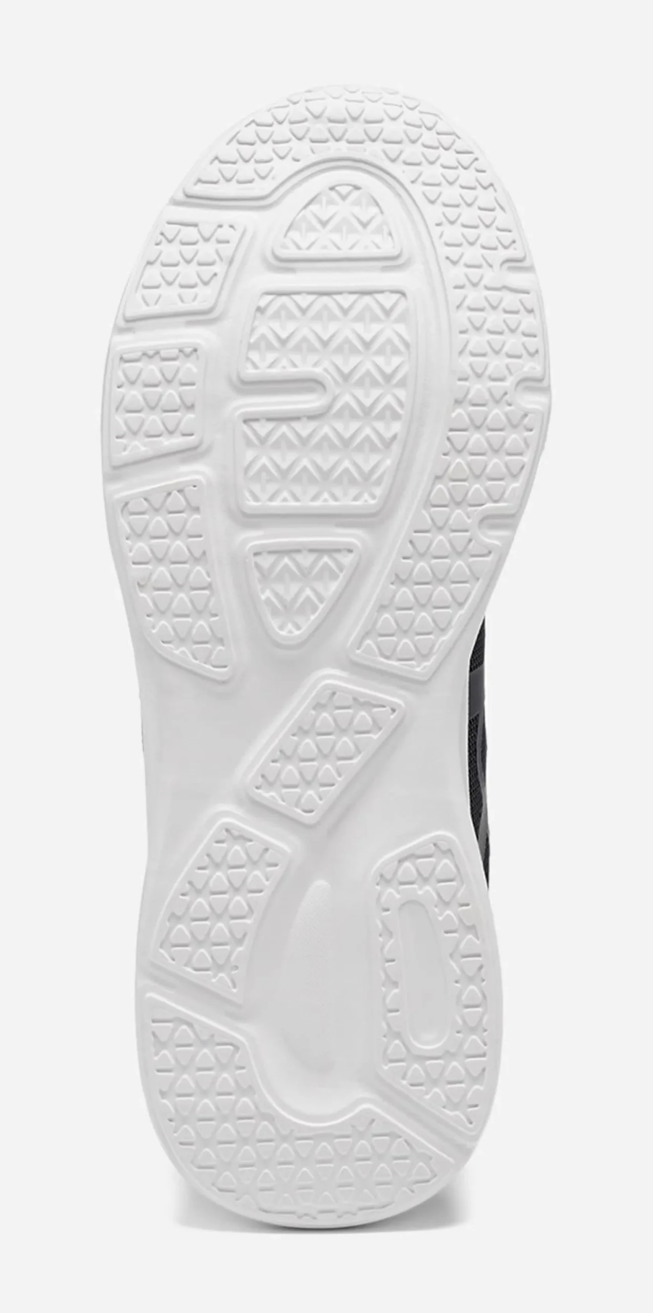LEJON, Sneakers