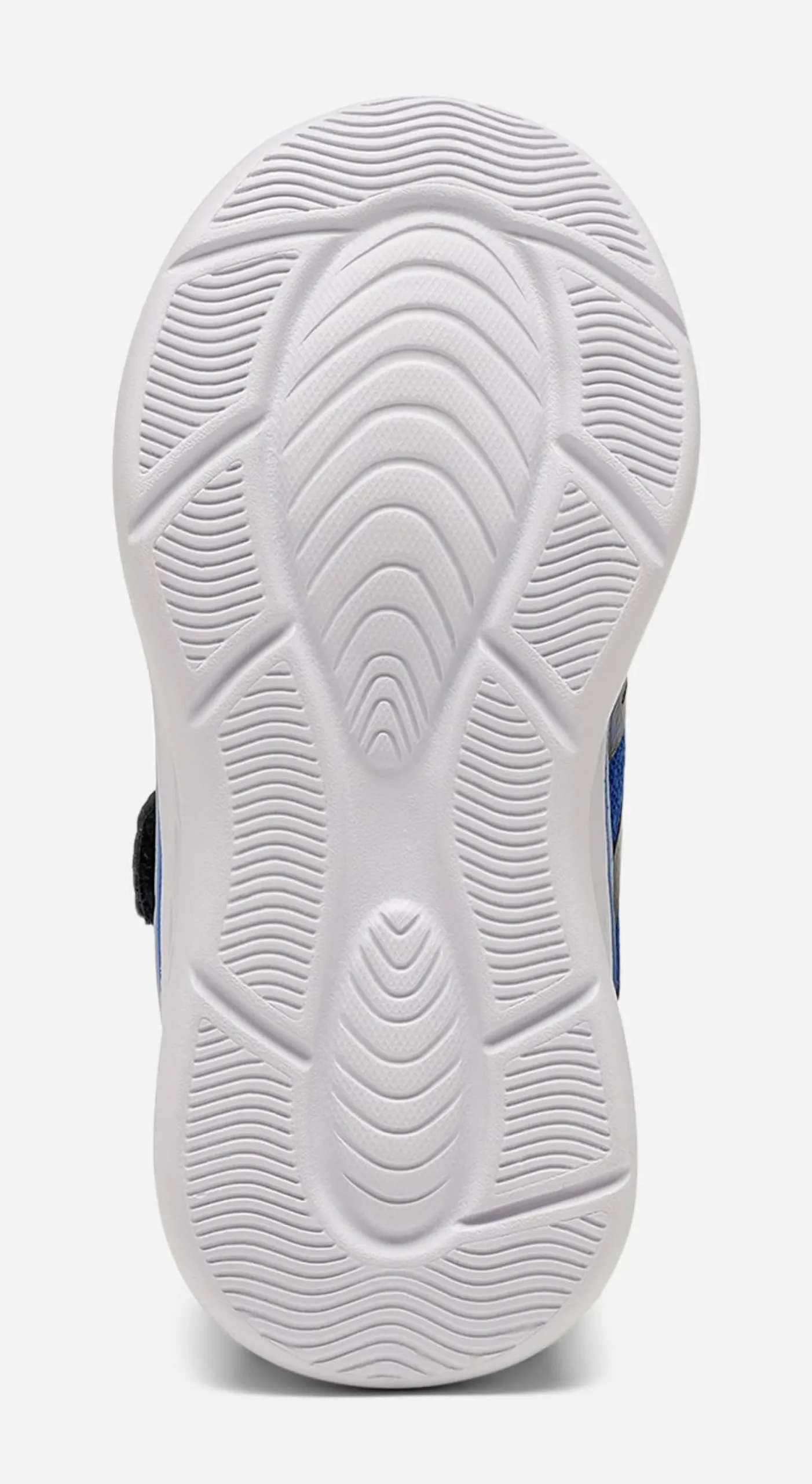 LEJON, Sneakers