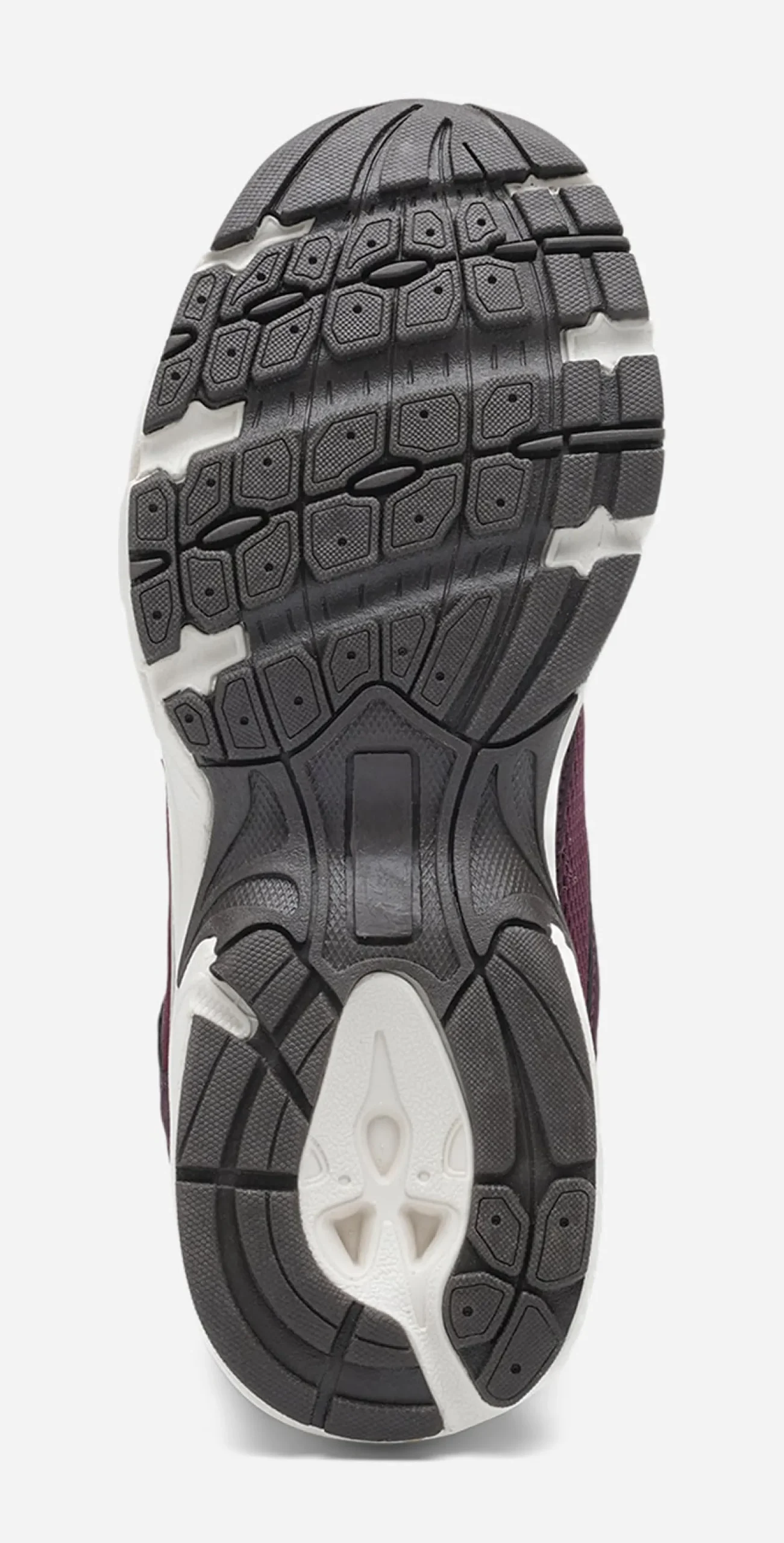 LEJON, Sneakers